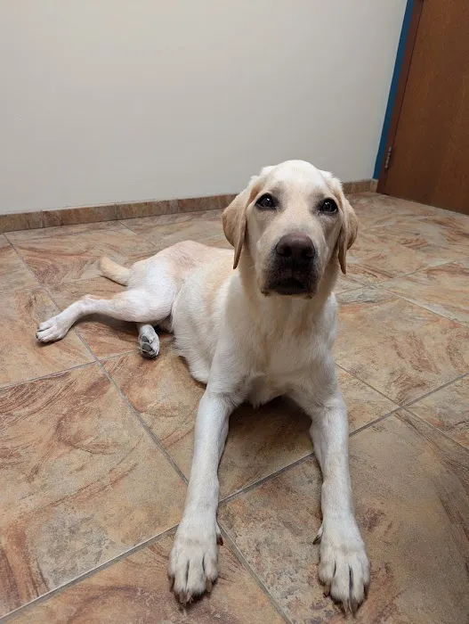 Rogue Valley Veterinary Hospital 5