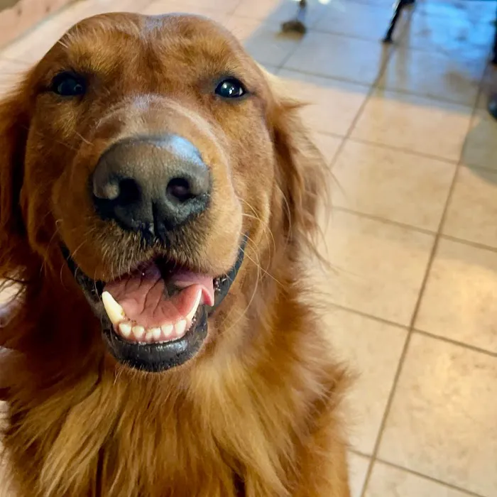 Rogue Valley Veterinary Hospital 9