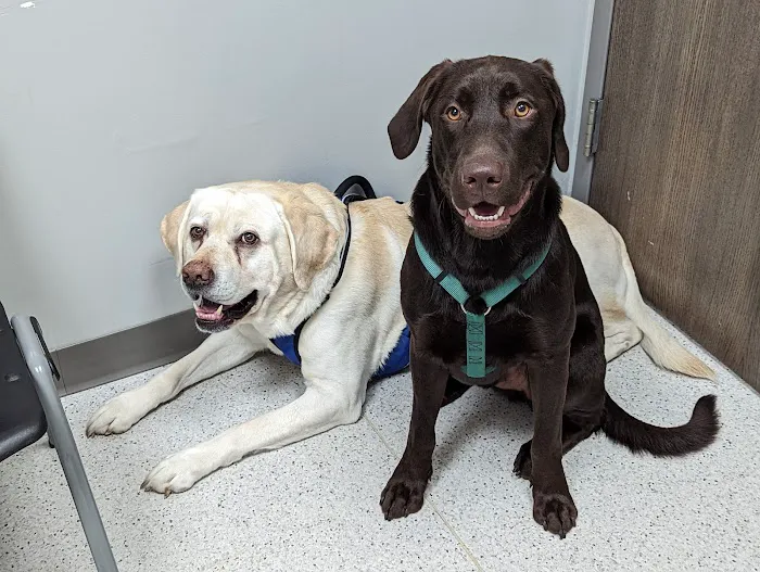 Sparta Animal Clinic 4