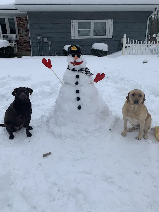 Companion Animal Veterinary Clinic, Inc. 1