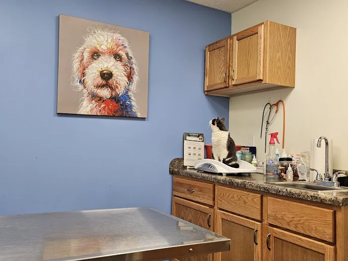 Companion Animal Veterinary Clinic, Inc. 2