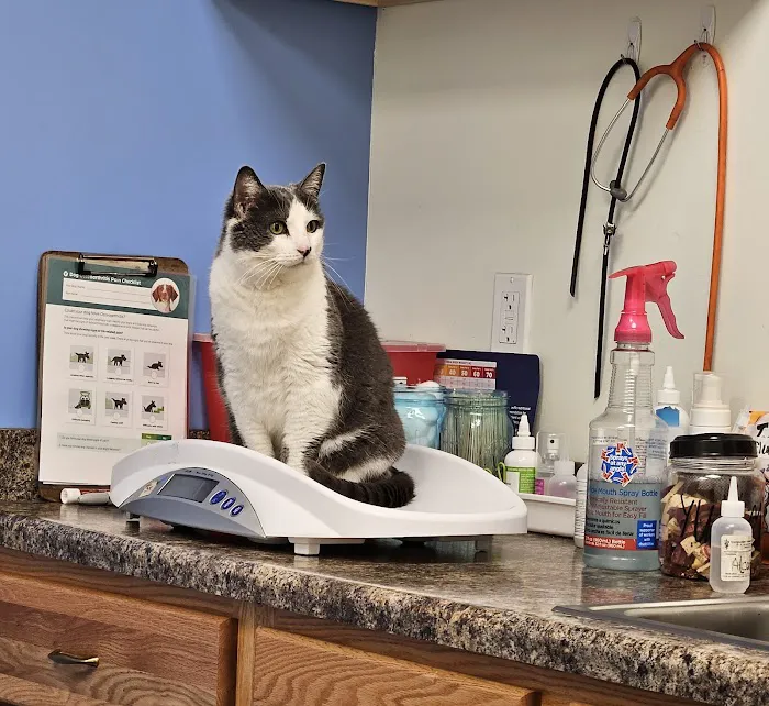 Companion Animal Veterinary Clinic, Inc. 5