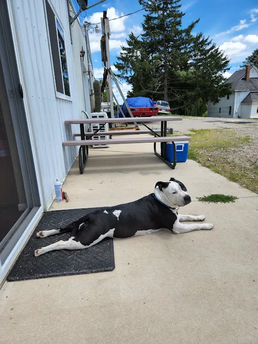 Thornapple Veterinary Medical Center 3