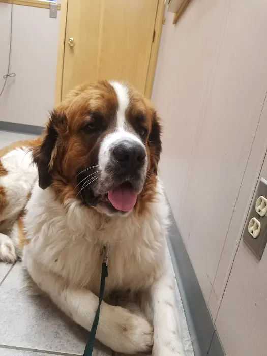 Thornapple Veterinary Medical Center 7