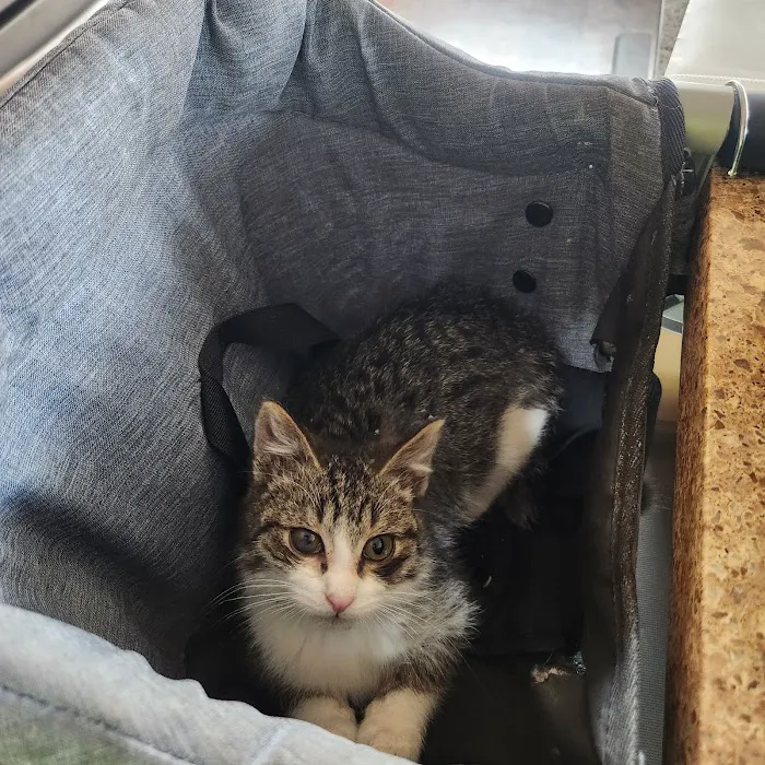 Thornapple Veterinary Medical Center 9