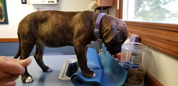 Gobles Veterinary Clinic 2