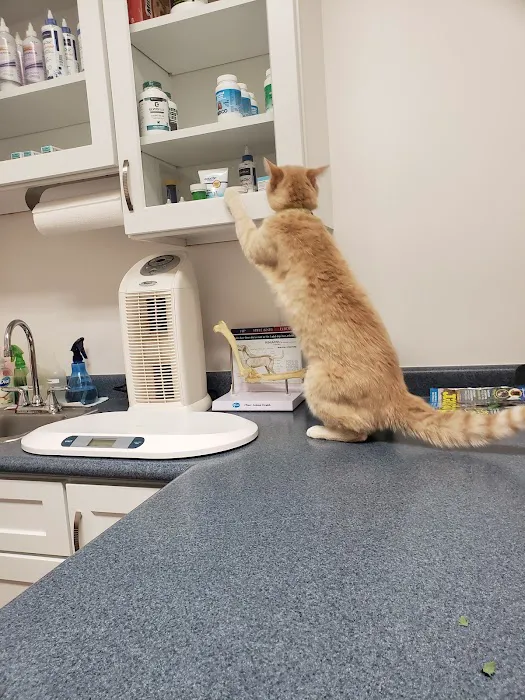 Bluegrass Animal Clinic 3