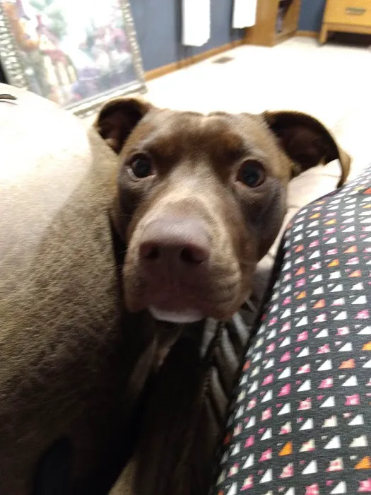Bluegrass Animal Clinic 5