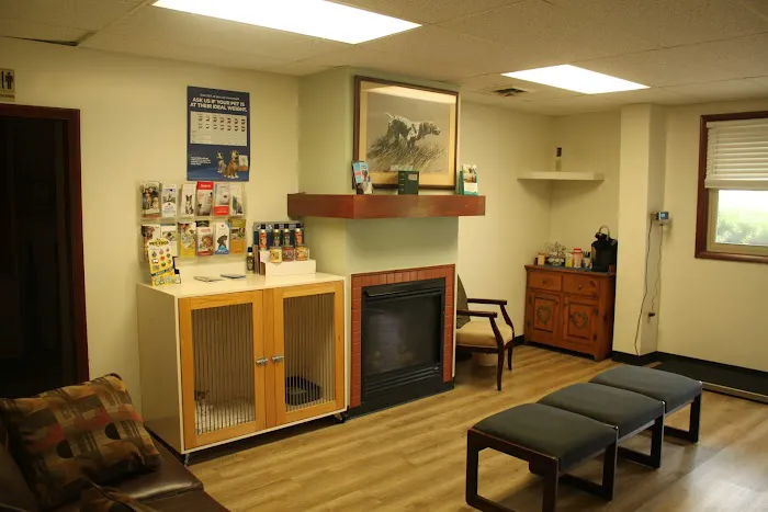 South Haven Animal Hospital 1