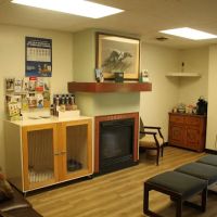 South Haven Animal Hospital ico