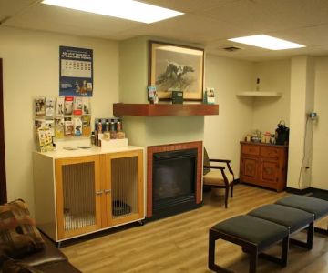 South Haven Animal Hospital