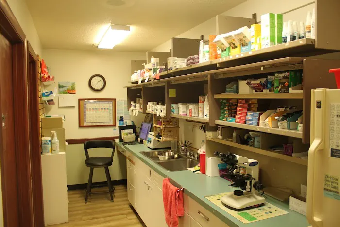 South Haven Animal Hospital 4
