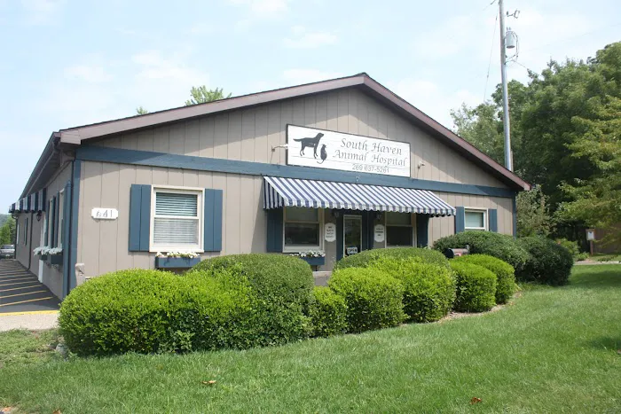 South Haven Animal Hospital 7