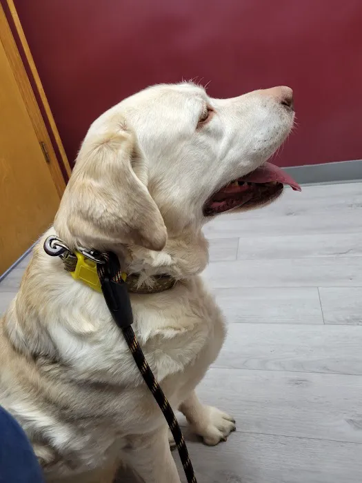 Bangor Veterinary Clinic 1