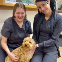 Pet Vet Family Pet Care Center ico