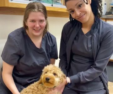 Pet Vet Family Pet Care Center