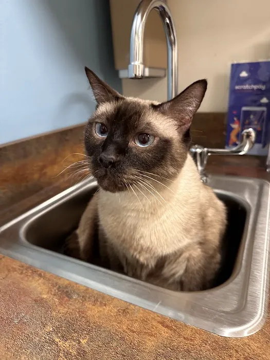 Shores Veterinary Emergency Center 6