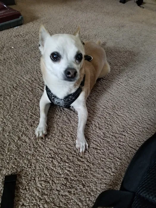 Shores Veterinary Emergency Center 4