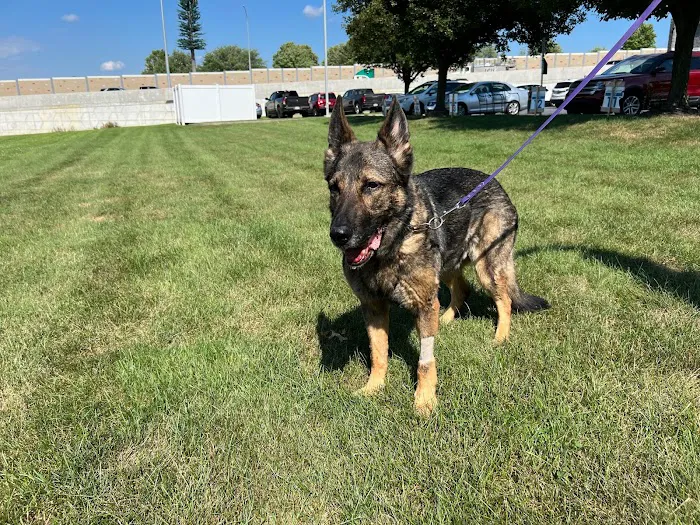 Shores Veterinary Emergency Center 7