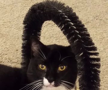 Magrane Pet Medical Center