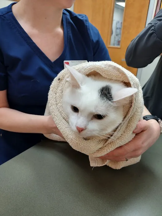 Magrane Pet Medical Center 12