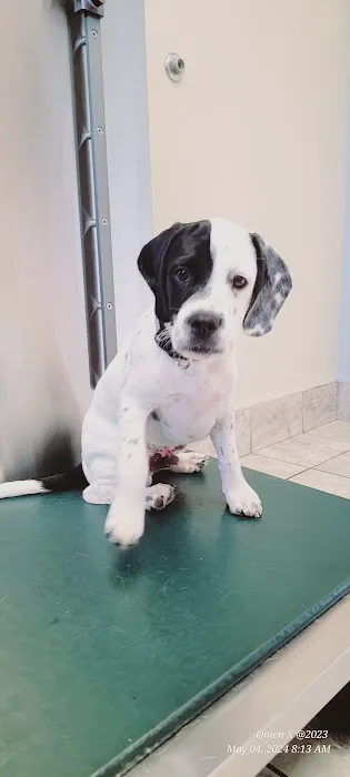 LePar Animal Hospital 6