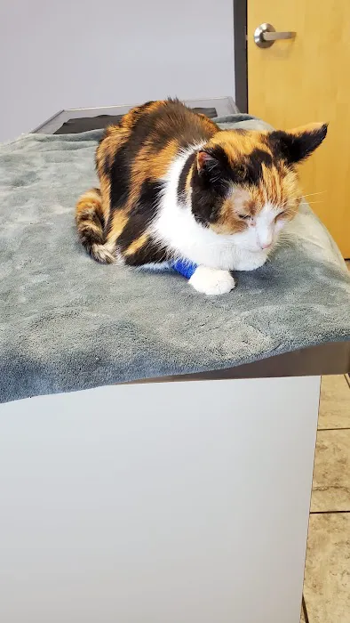LePar Animal Hospital 7