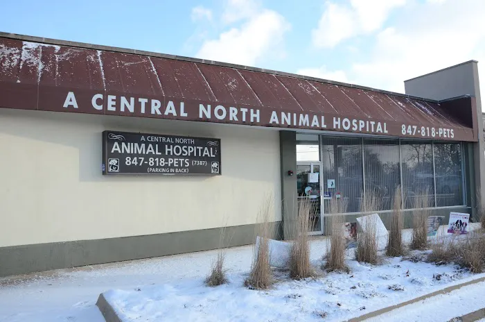 A Central North Animal Hospital 3