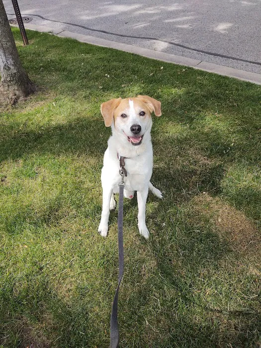 A Central North Animal Hospital 7