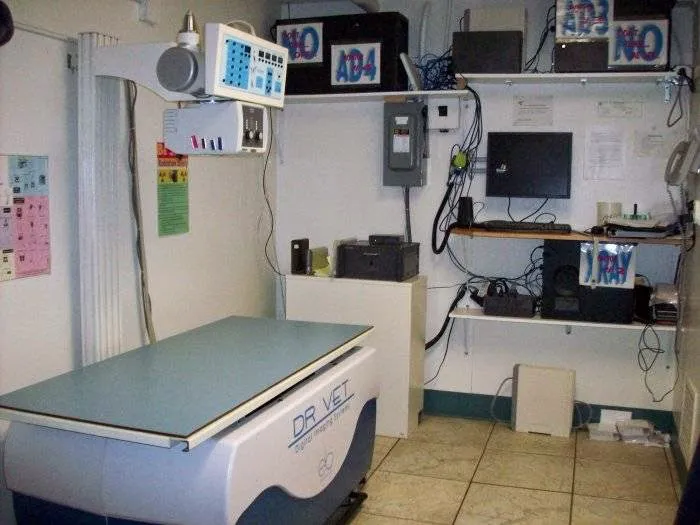 VCA Pahle Animal Hospital 1