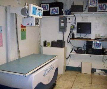 VCA Pahle Animal Hospital