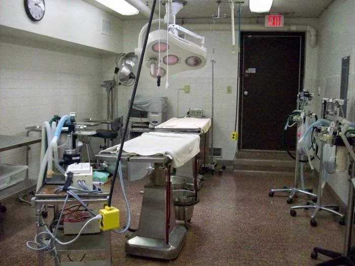 VCA Pahle Animal Hospital 7