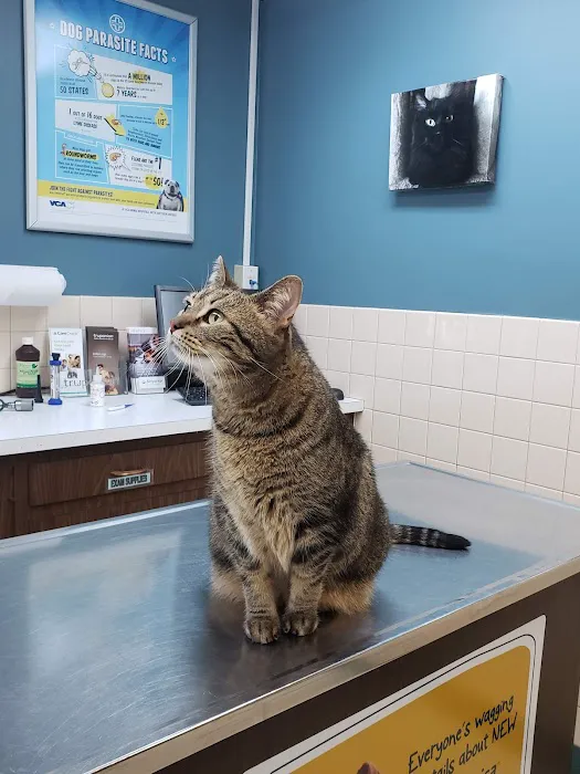 VCA Pahle Animal Hospital 6