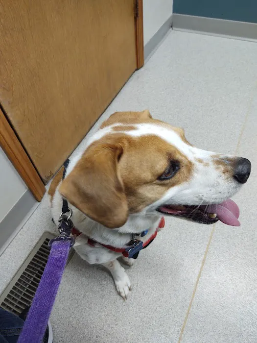 Mishawaka Animal Care Center 12