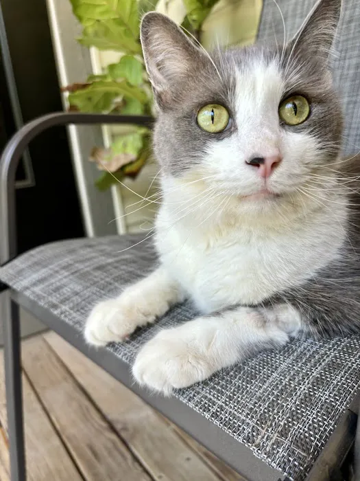 Mishawaka Animal Care Center 12