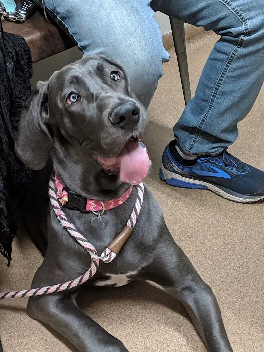 Mishawaka Animal Care Center 12