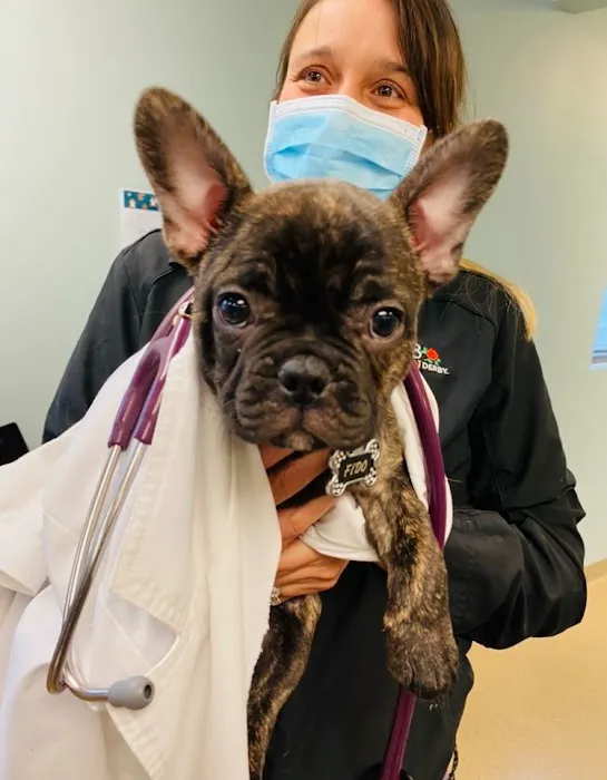 Lakeland Animal Care 1