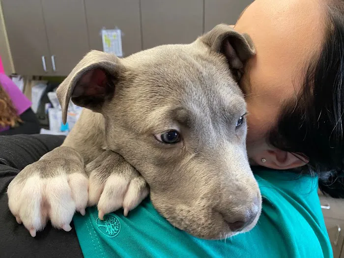 Lakeland Animal Care 2