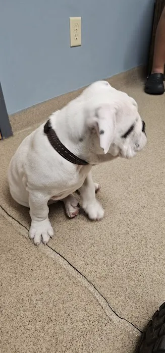 Lakeland Animal Care 4
