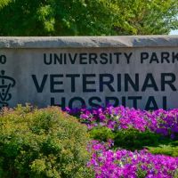 University Park Veterinary Hospital ico
