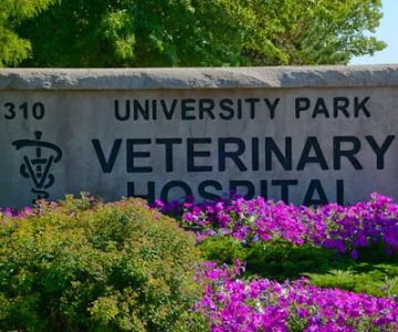University Park Veterinary Hospital