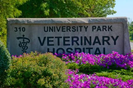 University Park Veterinary Hospital