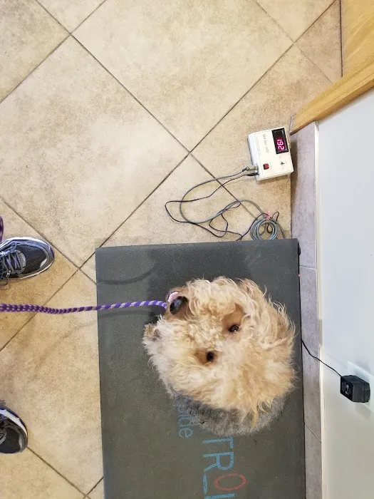 University Park Veterinary Hospital 12