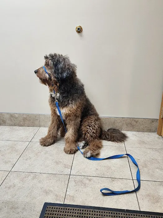 University Park Veterinary Hospital 12