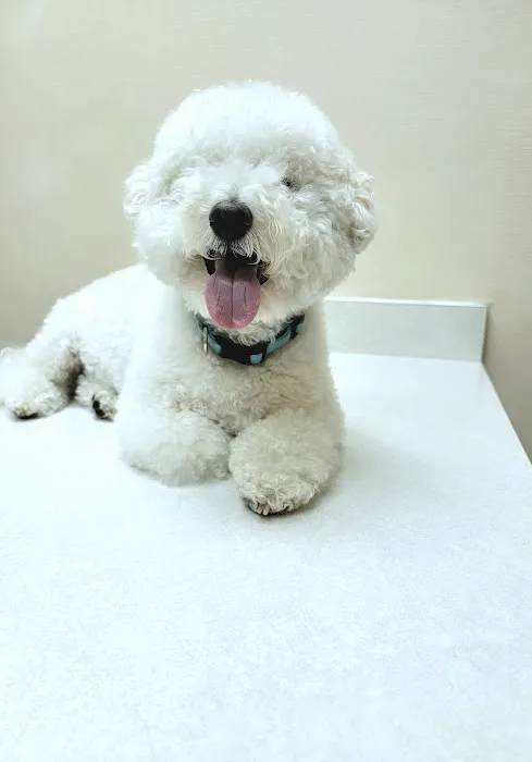 University Park Veterinary Hospital 12