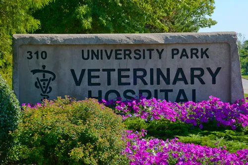 University Park Veterinary Hospital 12
