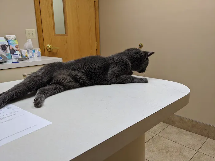 University Park Veterinary Hospital 12