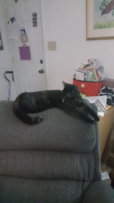 Cat Care Clinic 12