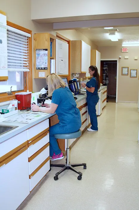 Morris Animal Hospital 6