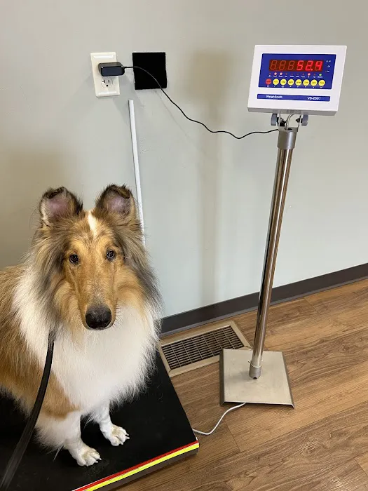 Family Pet Health Center 12